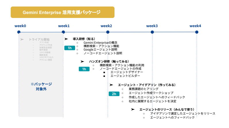 gemini-enterprise-support-package-information-4